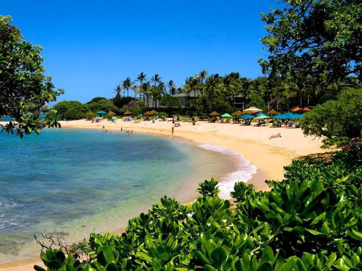 Spectacular Golf Course Front Kahuku